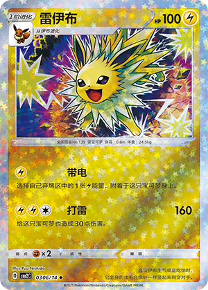 Jolteon #306