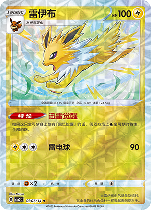 Jolteon #307