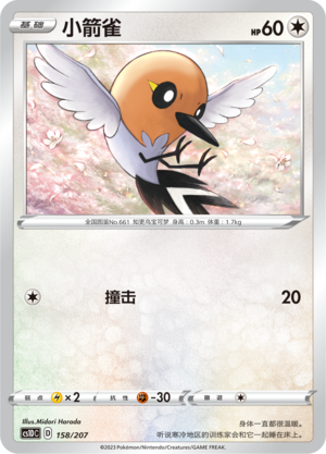 小箭雀