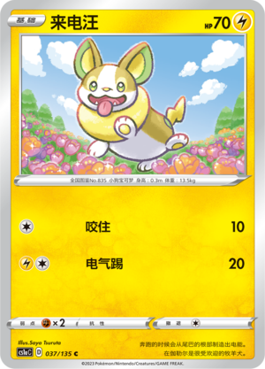 来电汪