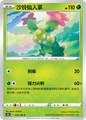 沙铃仙人掌