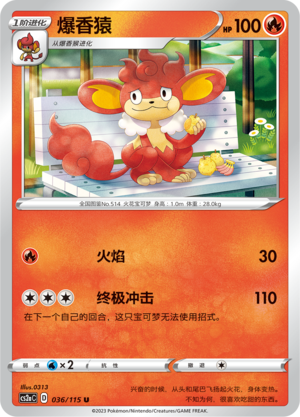 爆香猿