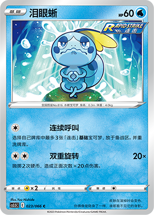 泪眼蜥