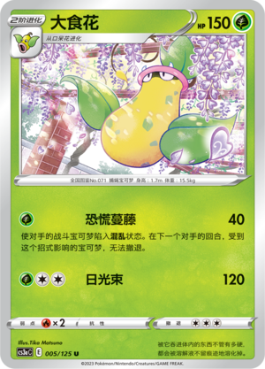 大食花