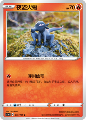夜盗火蜥