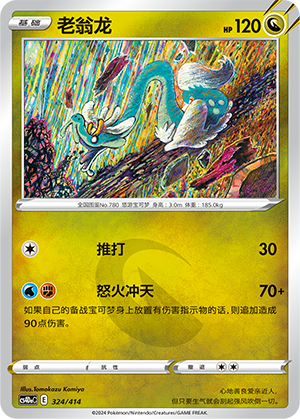 老翁龙