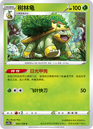 树林龟