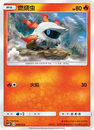 燃烧虫