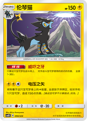 伦琴猫