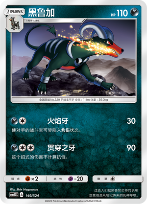 黑鲁加