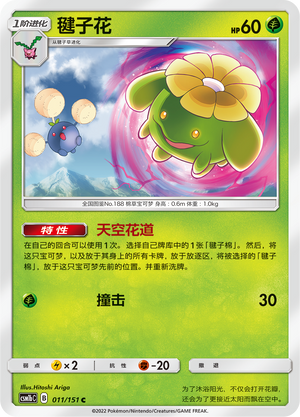 毽子花