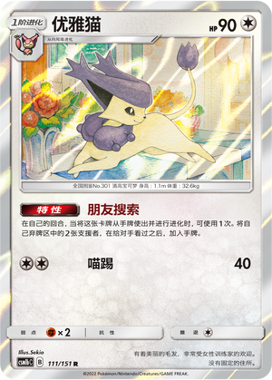优雅猫
