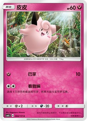 皮皮