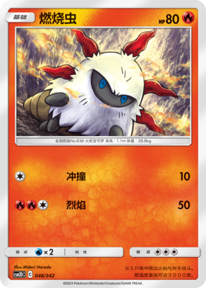燃烧虫