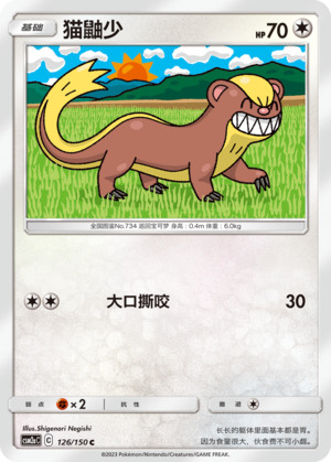 猫鼬少