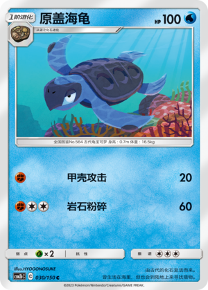原盖海龟