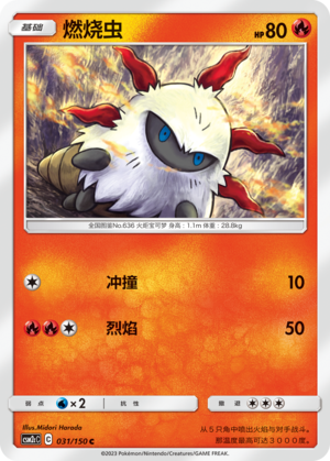 燃烧虫