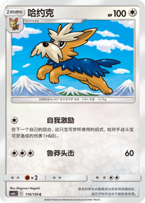 哈约克