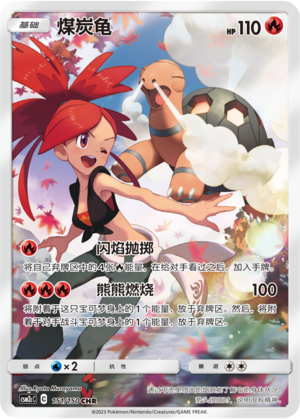 煤炭龟
