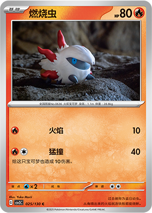 燃烧虫