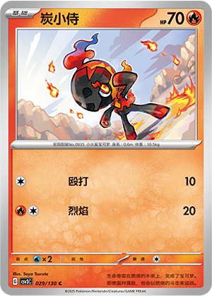 炭小侍