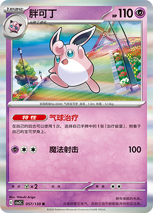 胖可丁