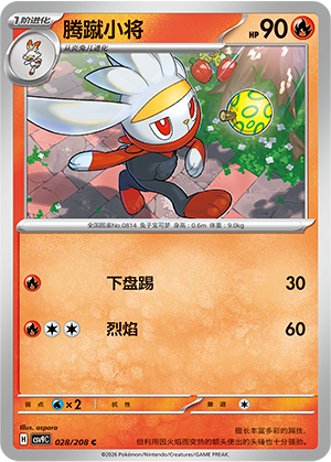 腾蹴小将