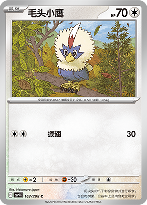 毛头小鹰