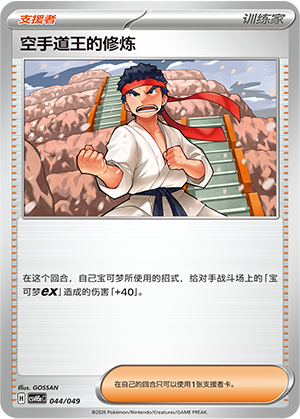 空手道王的修炼