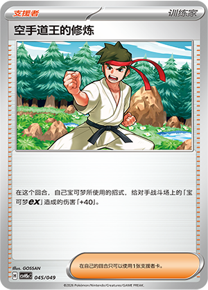 空手道王的修炼