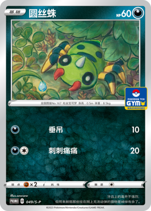 圆丝蛛