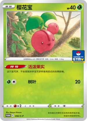 樱花宝