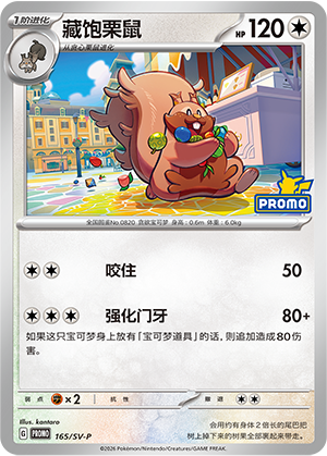 藏饱栗鼠 165